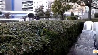 国产网红无码精品视频,成人视频高清免费观看